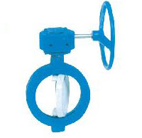 双偏心对夹式蝶阀