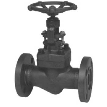 2500LB锻钢法兰载止阀